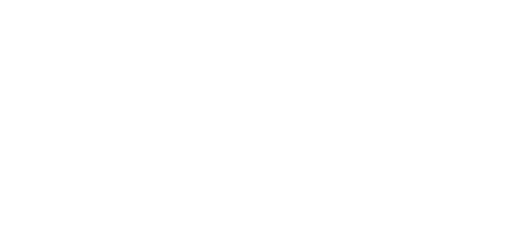 Stan logo